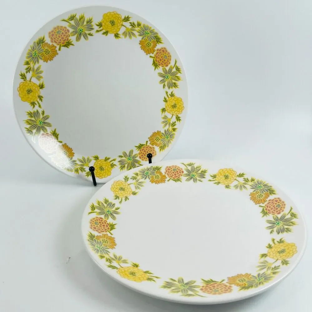 Noritake Sunny Side Progression Salad Plates Lot 2 Japan 9003 Vintage MCM 8.25
